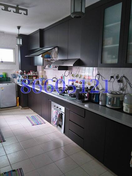 Blk 128C Punggol Field Walk (Punggol), HDB 4 Rooms #103535272